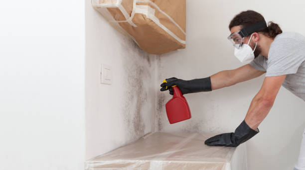 Professional Basement Mold Remediation technician working in Onancock, VA
